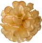 Персик K111