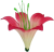К116