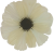 K120