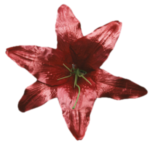 Головки квітів Лілія 001 Головки квітів Лілія 001