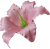 К191