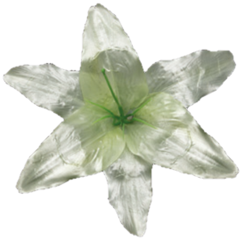 Головки квітів Лілія 001 Головки квітів Лілія 001