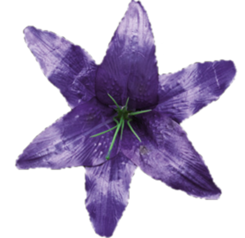 Головки квітів Лілія 001 Головки квітів Лілія 001