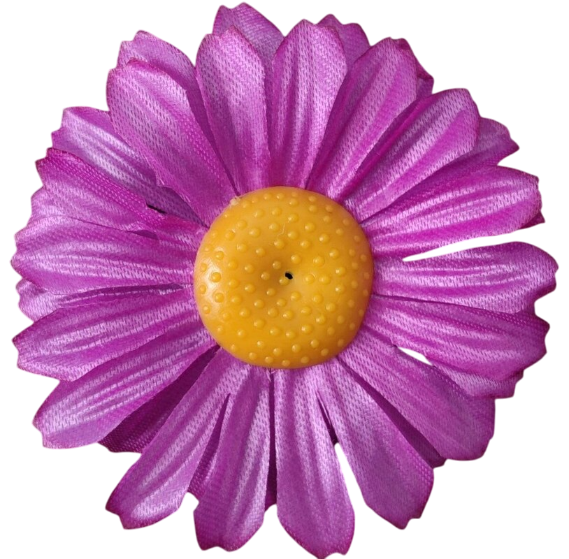 Головки квітів Ромашка Нова Головки квітів Ромашка Нова