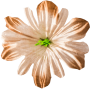 Коричневий К249
