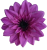 К232