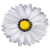 К100