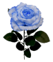 Голуба К222