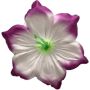 Белый с фиолетовым кантом К243