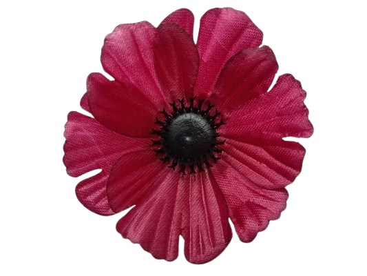 Головки квітів Волошка Головки квітів Волошка