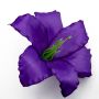 Фиолетовая К232