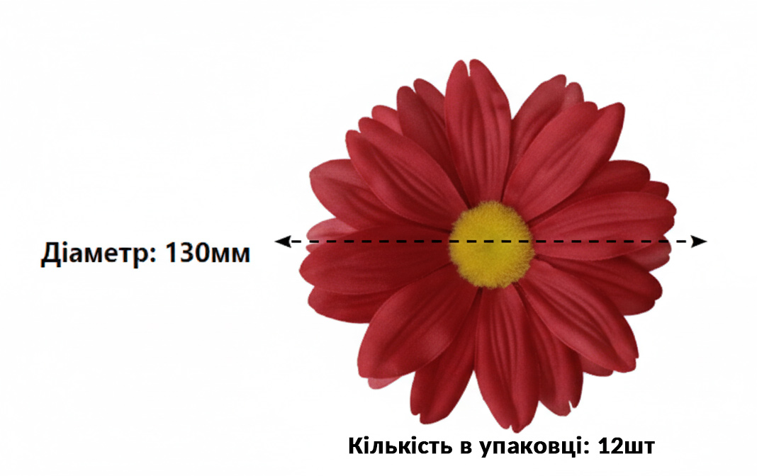 Розміри Гербери