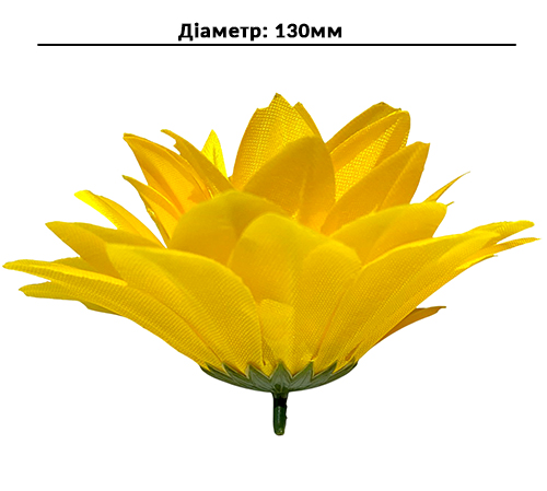 Розміри голівки