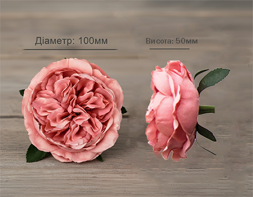 Бутон квітки рози, розміри