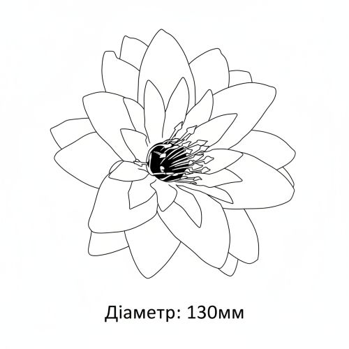 Крокус голівкаквітки