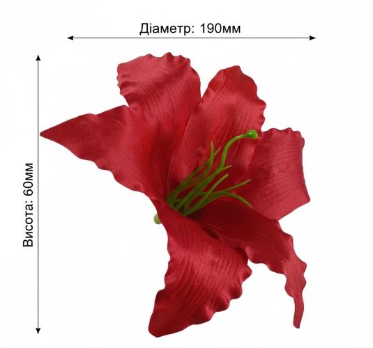 Розмір лілії 006