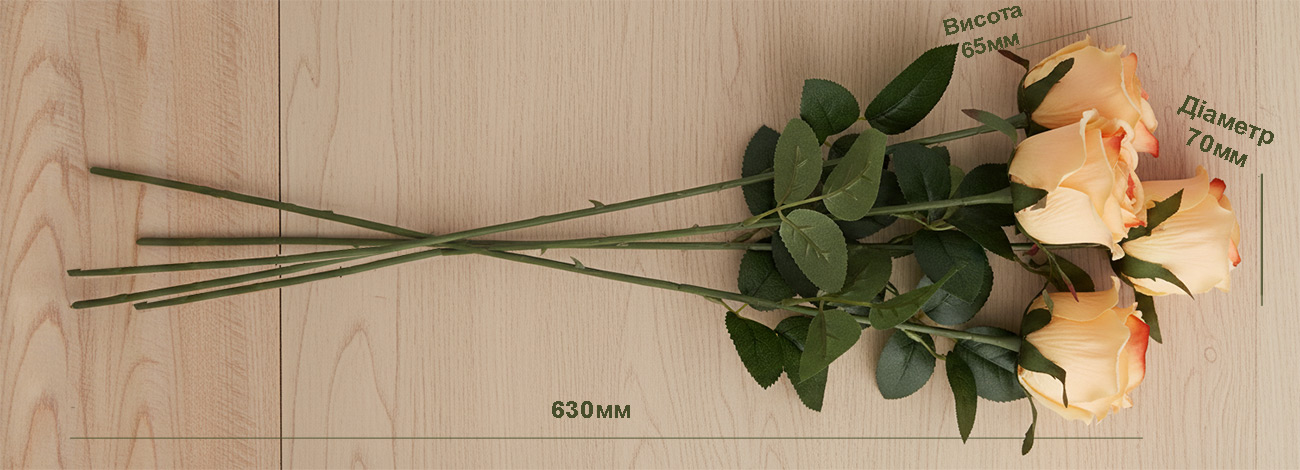 Троянди розмір